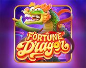 Fortune Dragon PGS